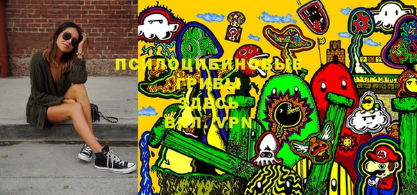 хмурый Алексеевка