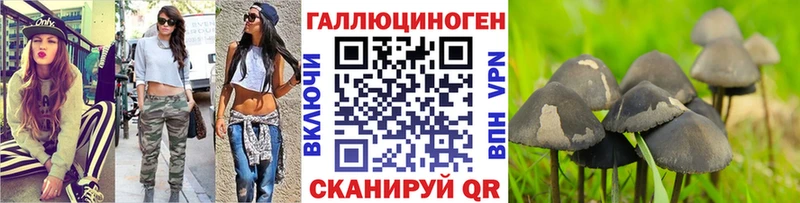 Галлюциногенные грибы GOLDEN TEACHER  Коломна 